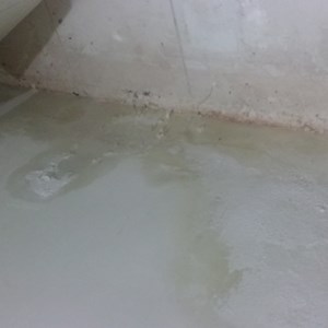 go travaux