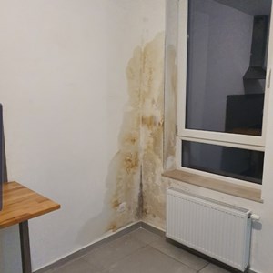 go travaux