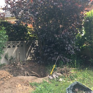 go travaux