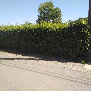 go travaux