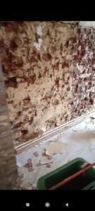 go travaux
