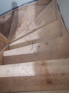 go travaux