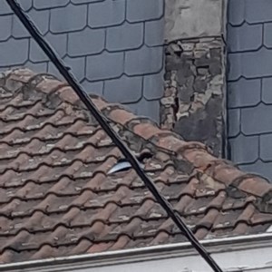 go travaux
