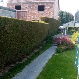 go travaux