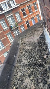 go travaux
