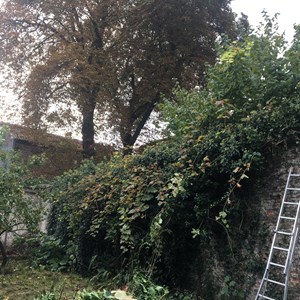 go travaux