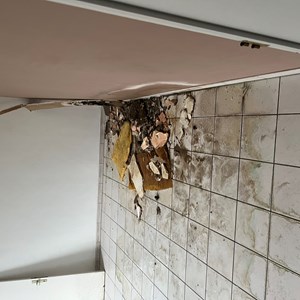 go travaux