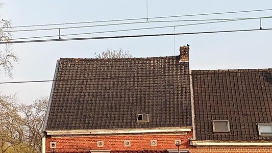 go travaux